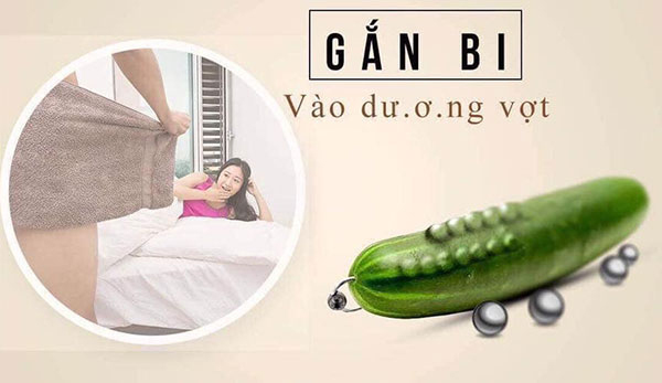 Đào tạo học viên